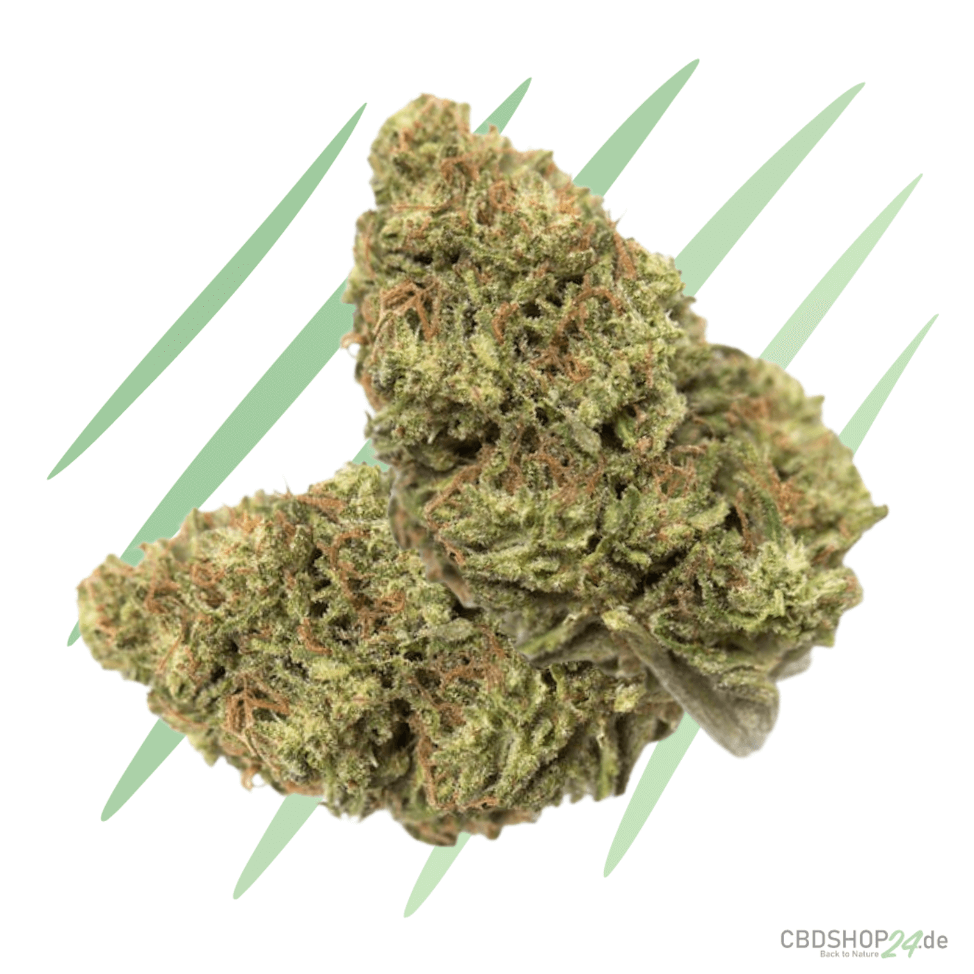 CBD Blüten California Sour Diesel