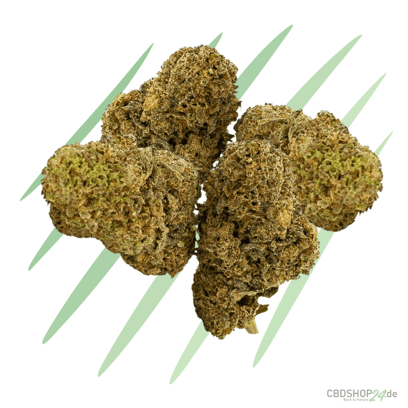 CBD Blüten Critical Haze