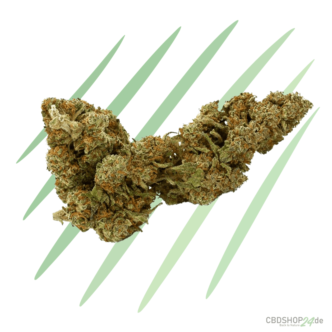 CBD Blüten Mango Kush