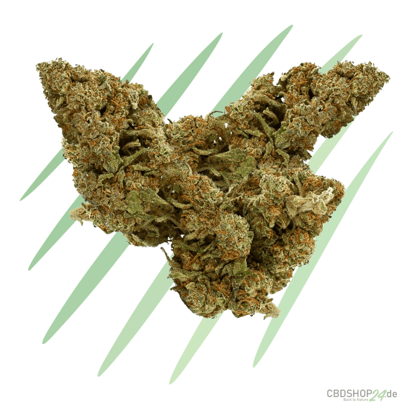CBD Blüten Mango Kush