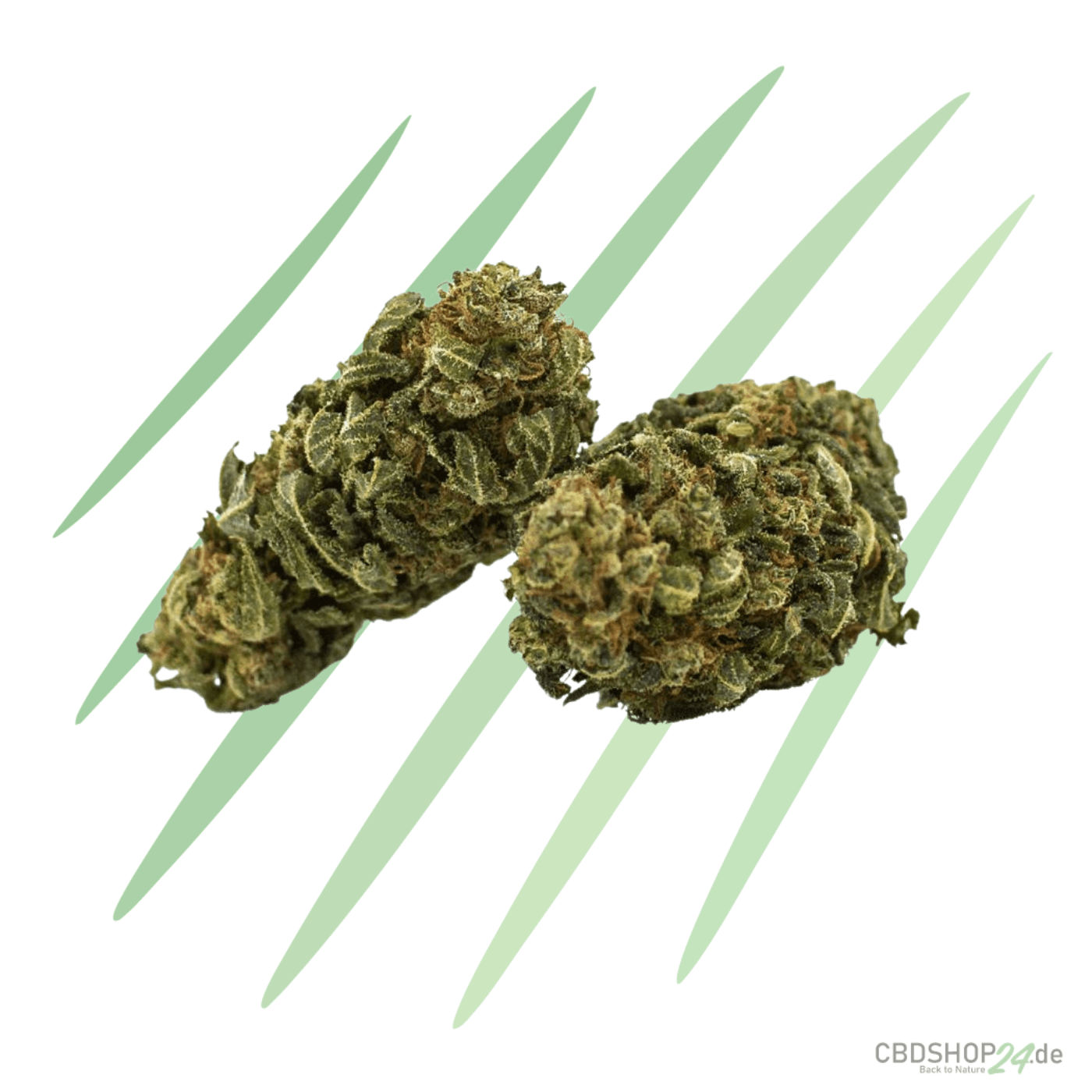 CBD Blüten Skywalker OG