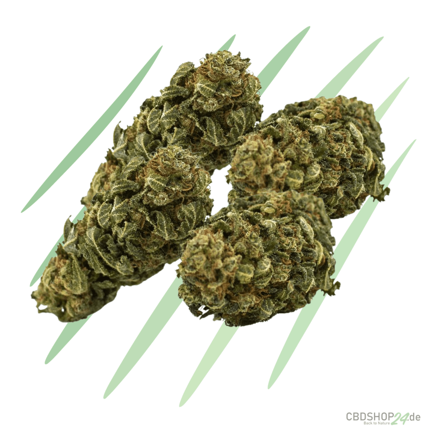 CBD Blüten Skywalker OG