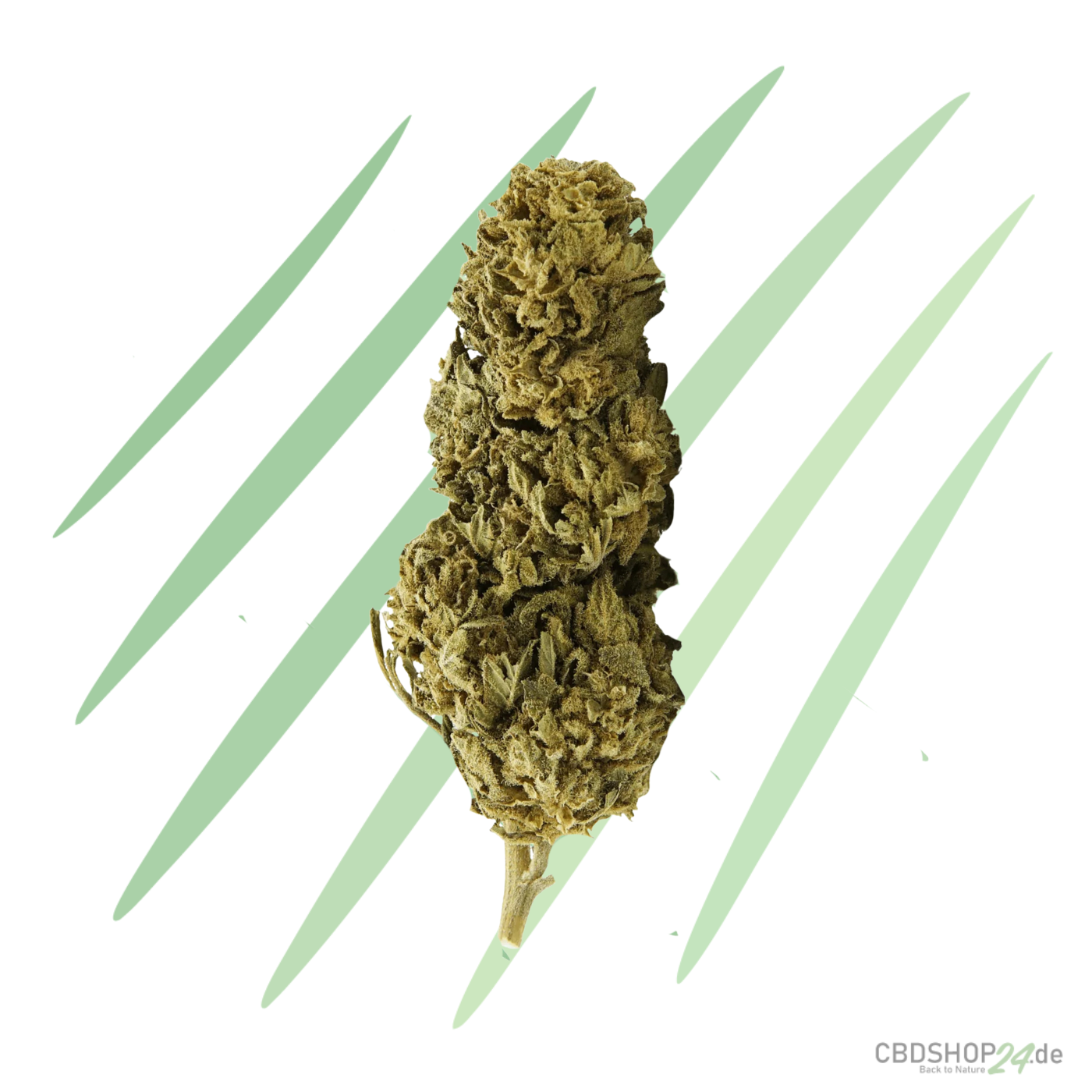 CBD Blüten Sour Lemon