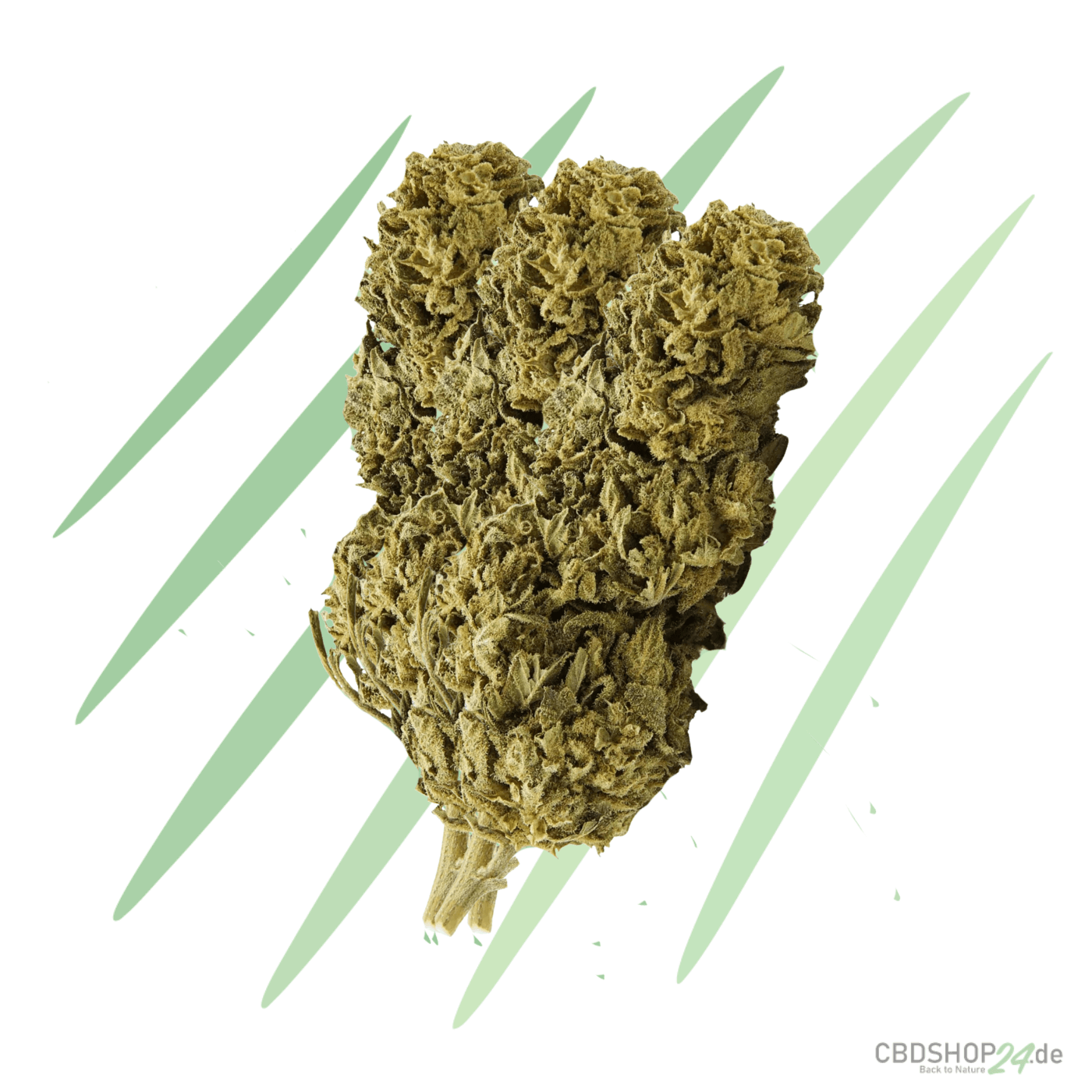 CBD Blüten Sour Lemon
