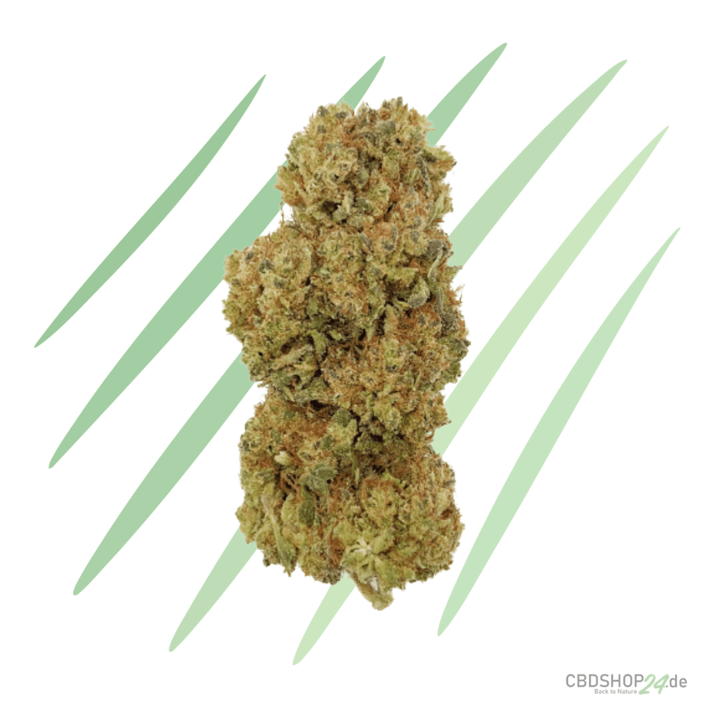 CBD Blüten Super Lemon Haze