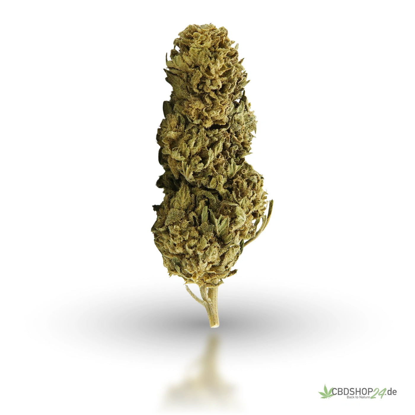 6g CBD Monster Mix: Blüten + Hasch Bundle