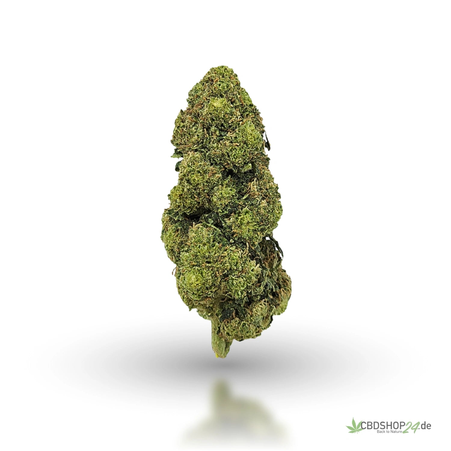 CBD Blüten Jack Herer