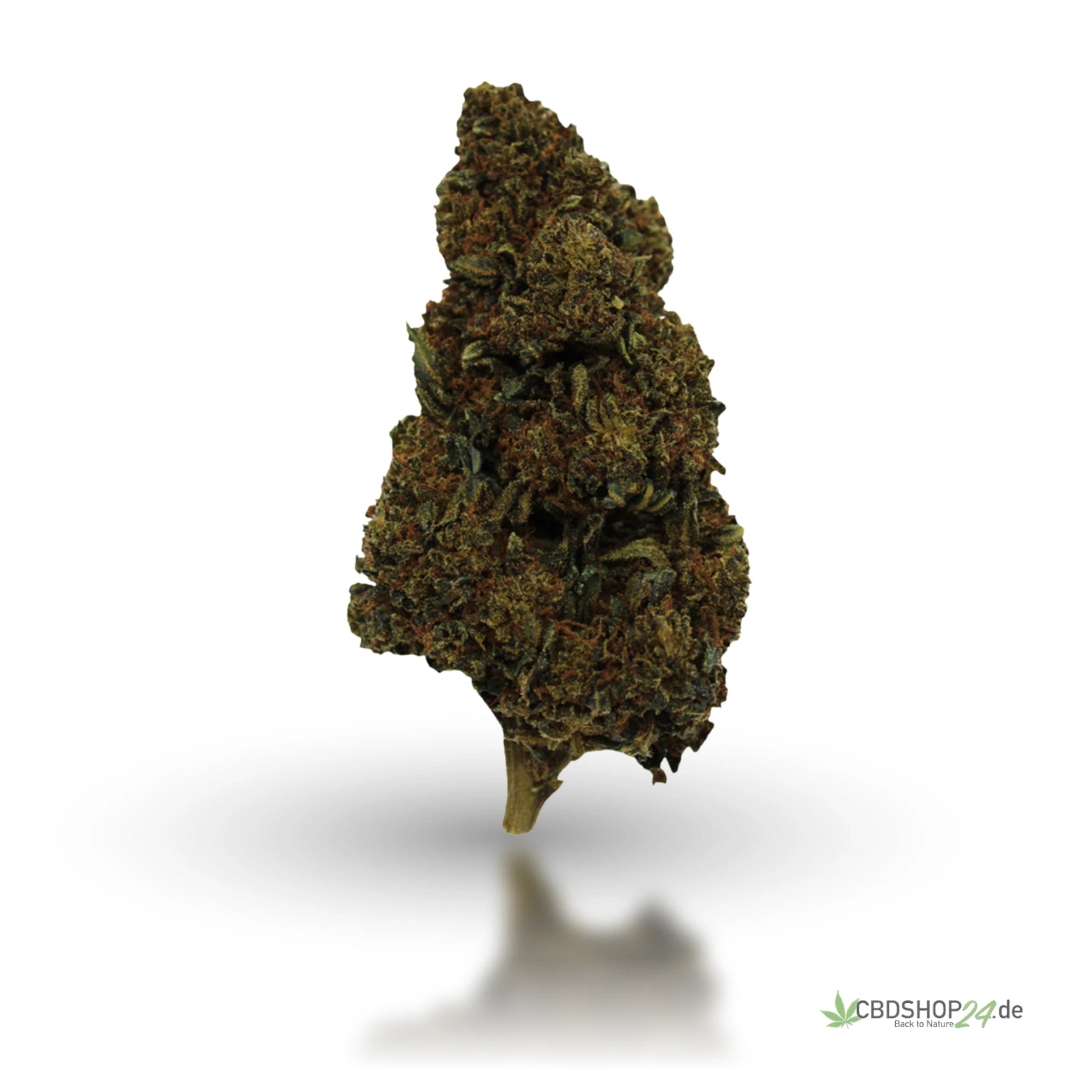 10-OH-HHC Blüte - Girl Scout Cookies cbdshop24