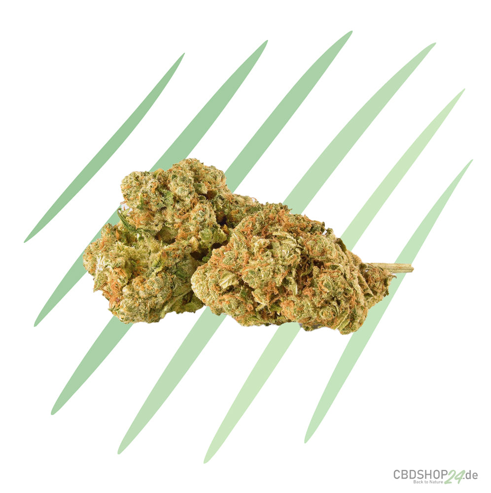 Amnesia Haze Extreme H2 Superior Blüte