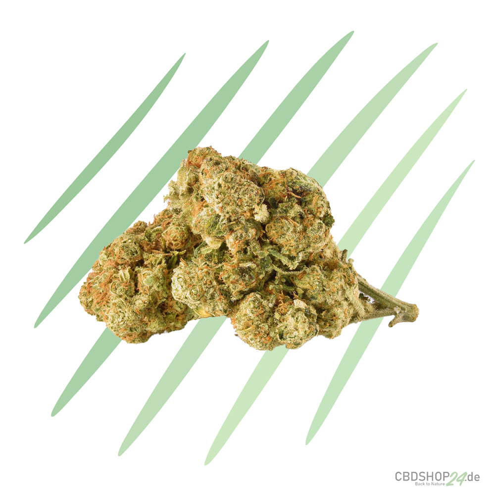 Amnesia Haze Extreme H2 Superior Blüte