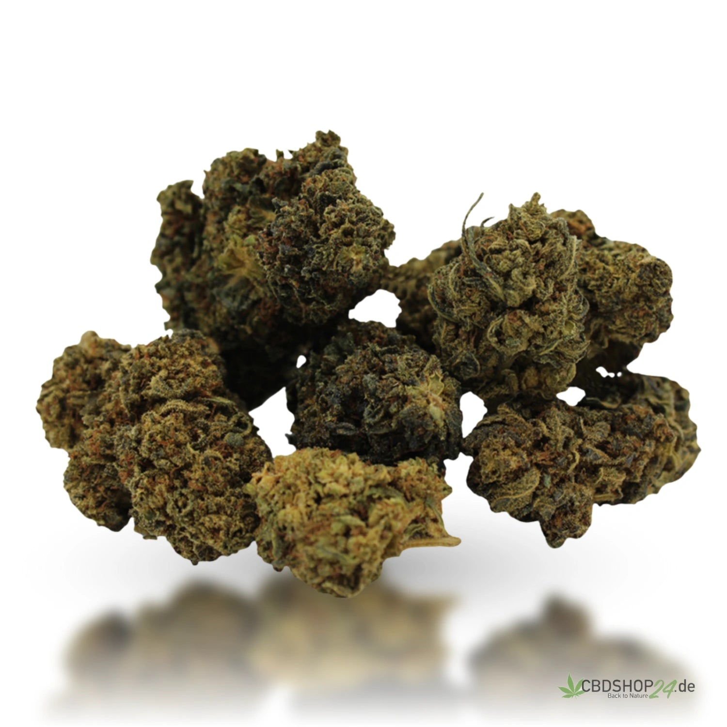 10-OH-HHC Blüte - Girl Scout Cookies cbdshop24