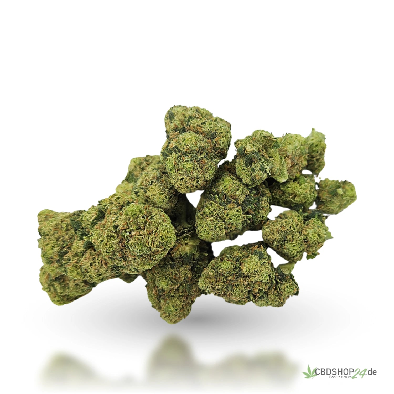 CBD Blüten Jack Herer