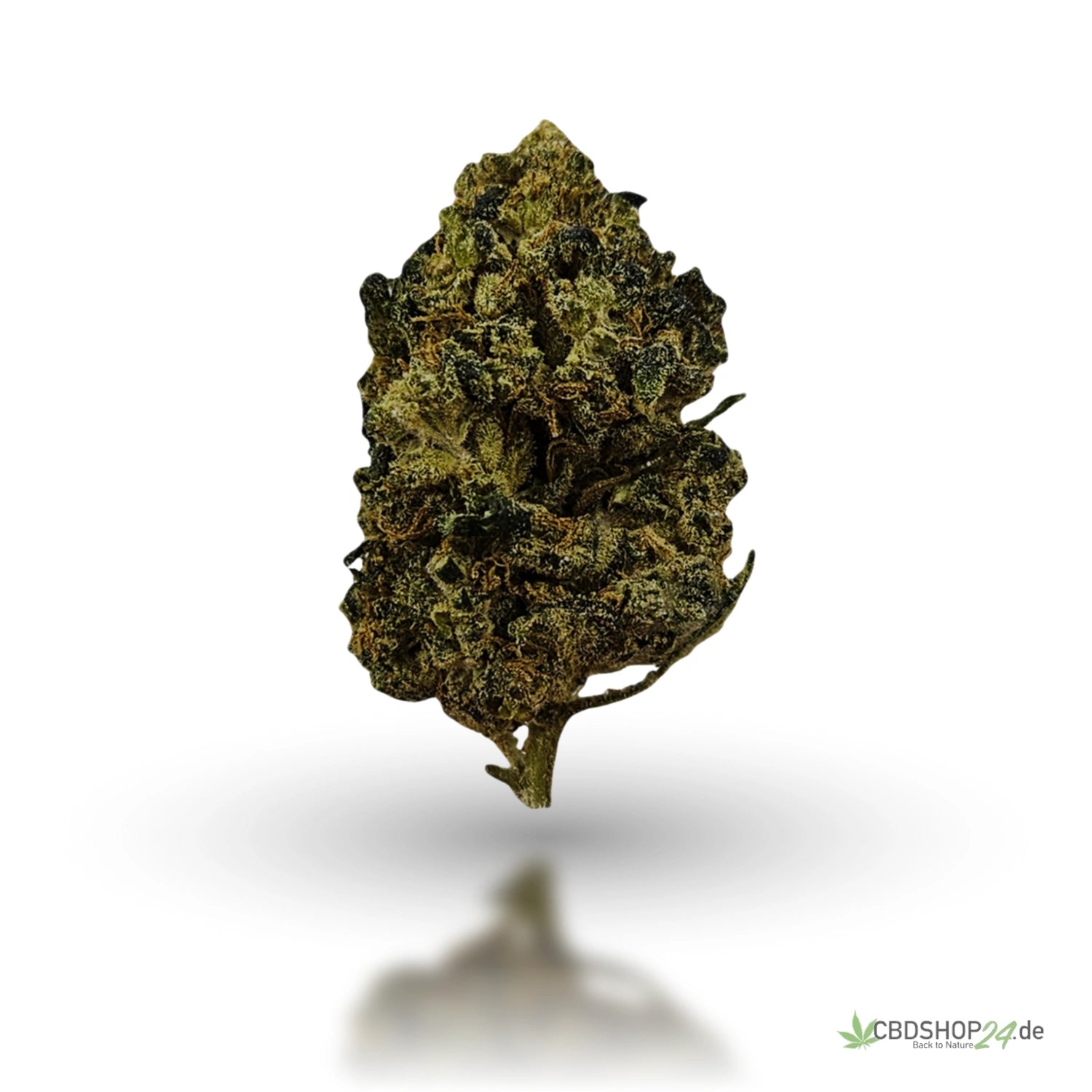 CBD Blüten Northern Lights #5 x Haze-cbdshop24.de