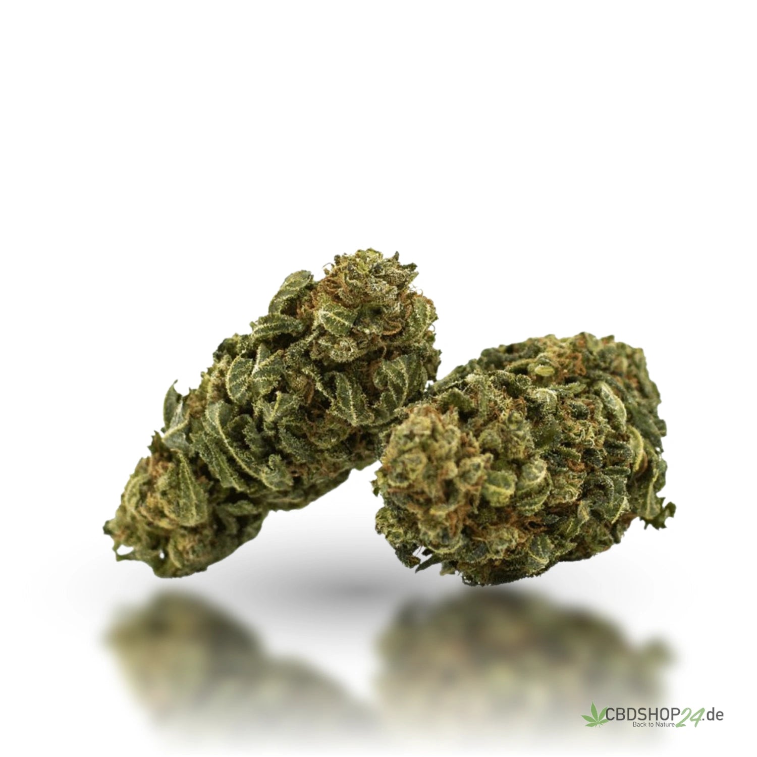 CBD Blüten 13% Skywalker OG