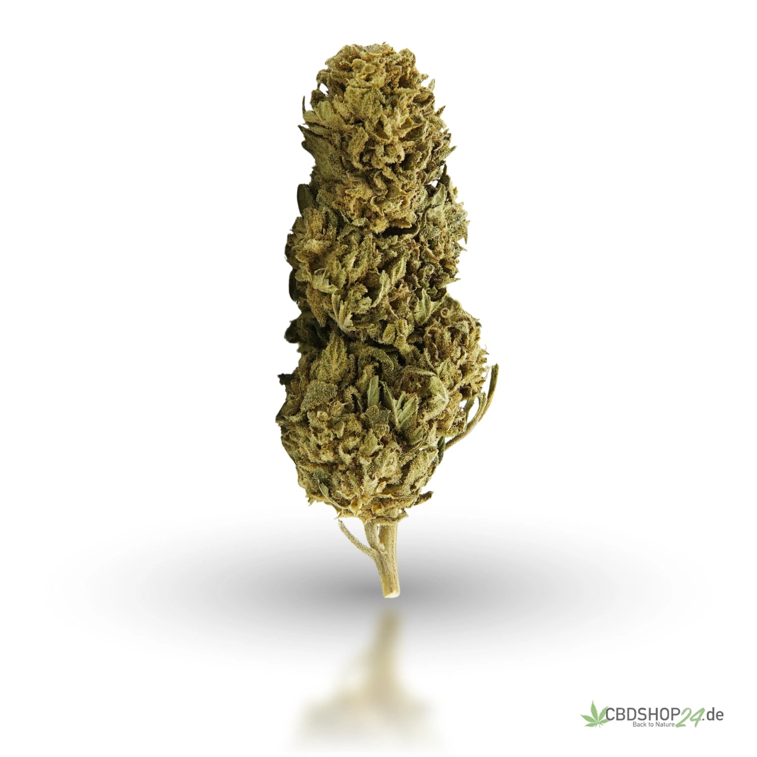 CBD Blüten 10% Sour Lemon