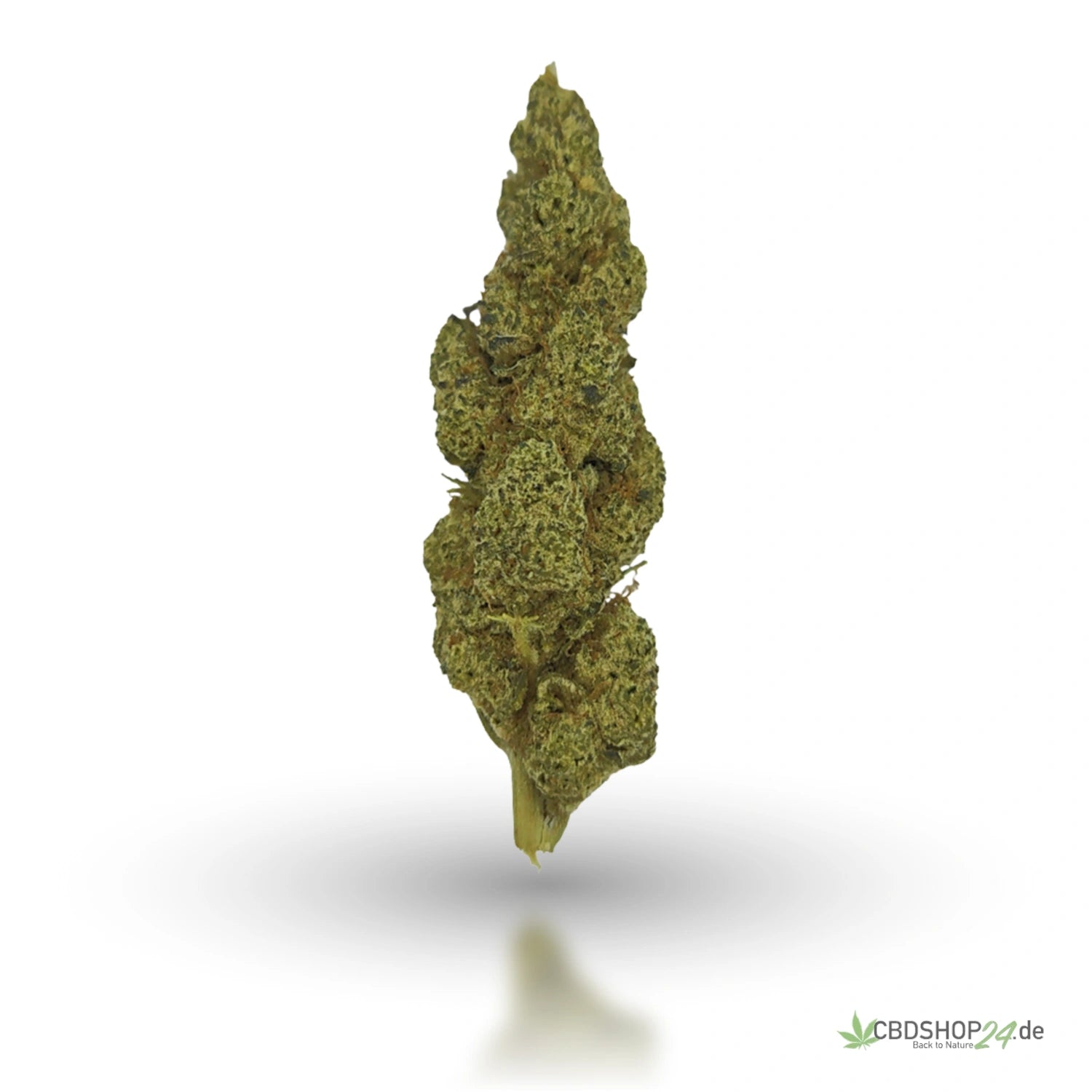 CBD Blüten White Widow-cbdshop24.de