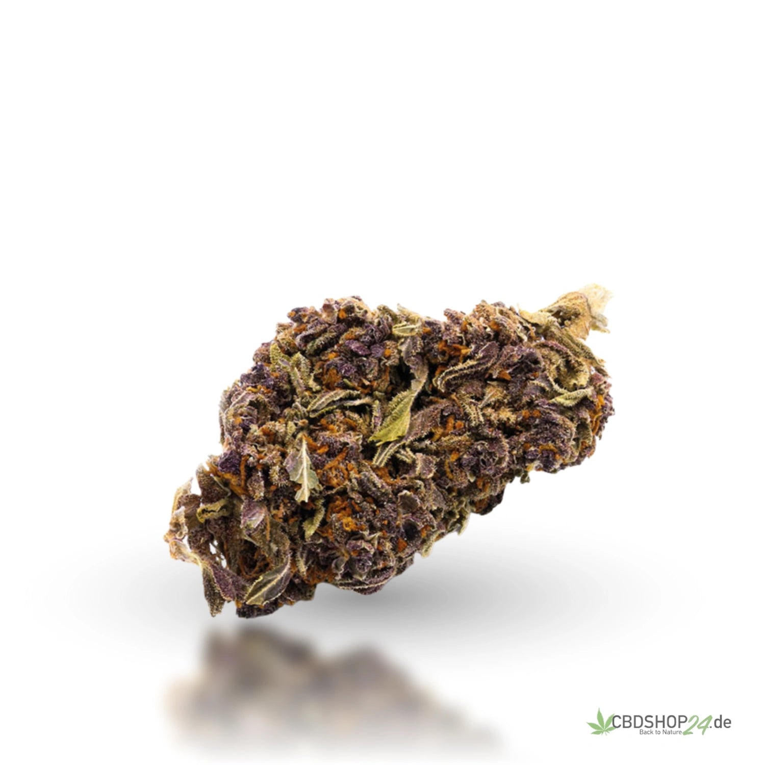 CBD-Blüte - Purple Haze - IlovePot cbdshop24