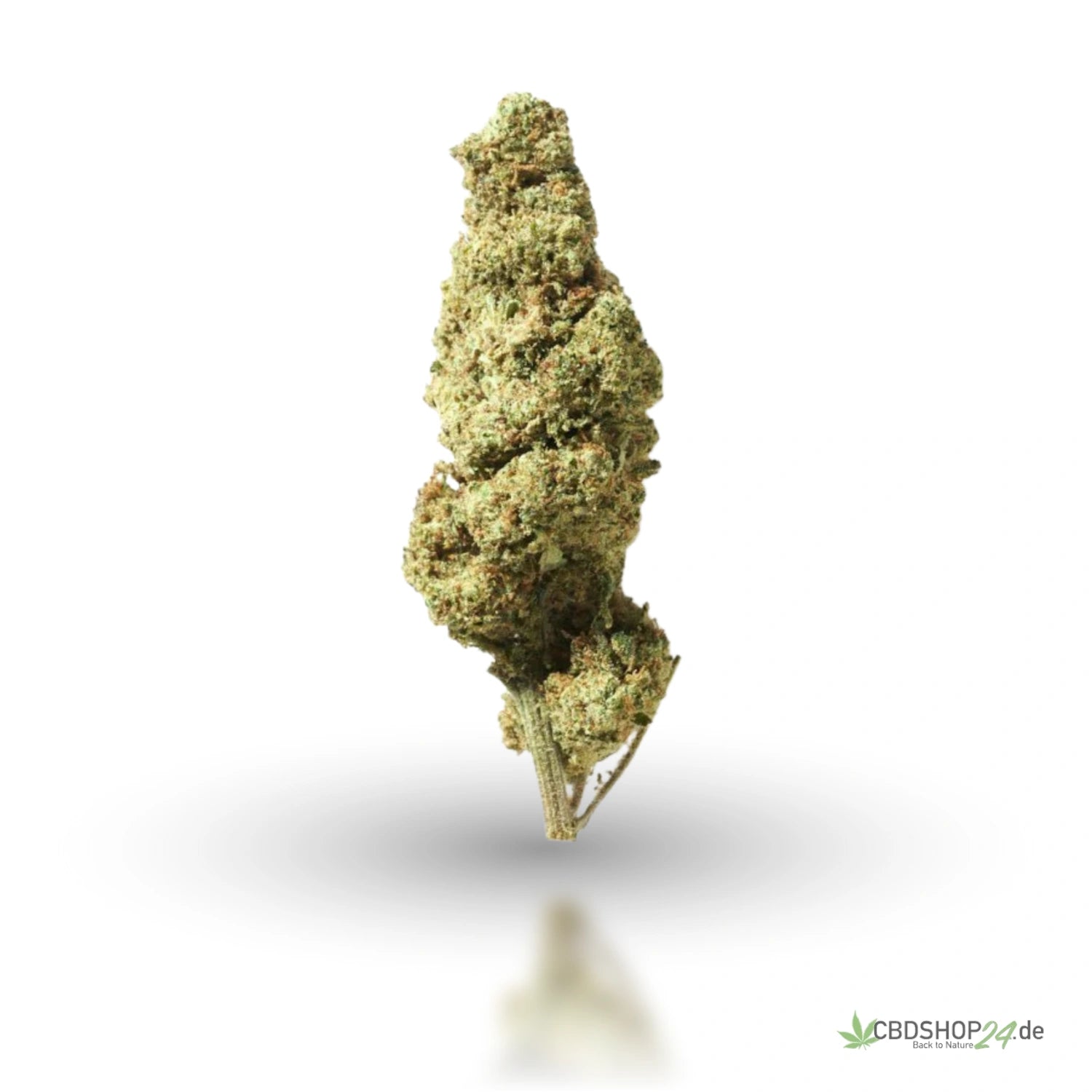 H2 Superior Blüte - Plutonium-cbdshop24.de