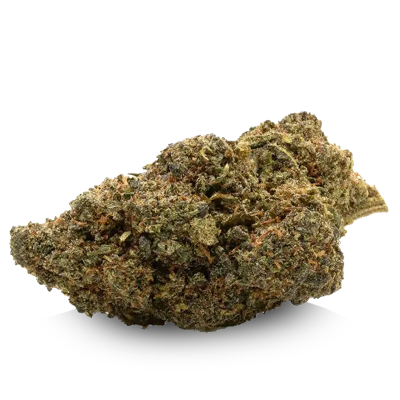10-OH-HHC Blüten