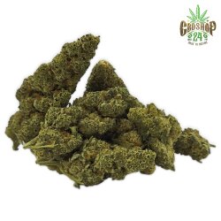 CBD Blüten White Widow 2g