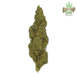 CBD Blüten White Widow 2g