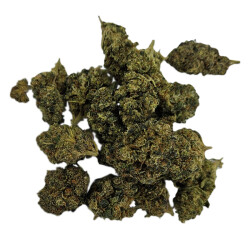 CBD Blüten Northern Lights #5 x Haze 1g