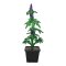 K-Plant Cannabis Deko Pflanzen Purple Haze
