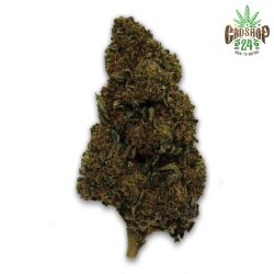 10-OH-HHC Black Domina