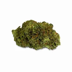 HHZ Premium Blüte - Mango Kush