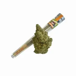 HHZ Pre-Roll - Skunk #1