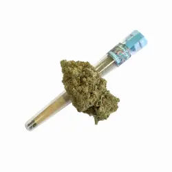 HHZ Pre-Roll - Northern Lights