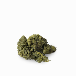10-OH-HHC Blüte - Girl Scout Cookies
