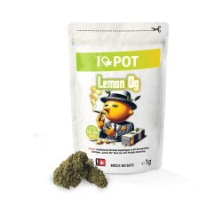 10-OH-HHC Blüte - Lemon OG