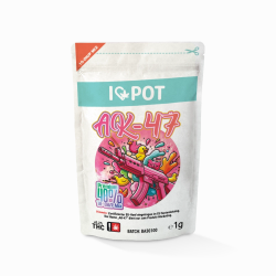 10-OH-HHC Blüte - AK47