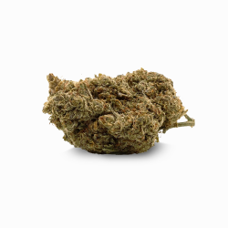 10-OH-HHC Blüte V2 - Lemon Pop