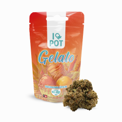 10-OH-HHC Blüte V2 - Gelato