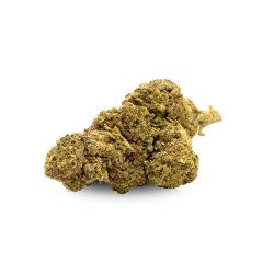 10-OH-HHC Blüte V2 - Wedding Cake