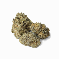 CBD-Blüte - Austin Powers