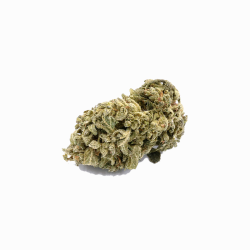 CBD-Blüte - Blueberry Yum Yum