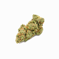 CBD-Blüte - Lemon Haze