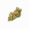 CBD-Blüte - Lemon Haze