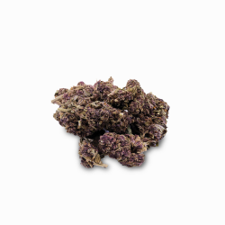 CBD-Blüte - Purple Haze