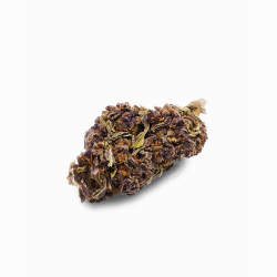 CBD-Blüte - Purple Haze