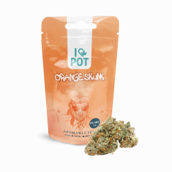 CBG-Blüte - Orange Skunk