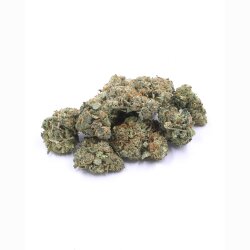 CBG-Blüte - Orange Skunk