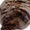 CBD Hasch - Just Kush