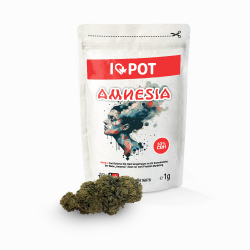 CBH Blüte - Amnesia 33%