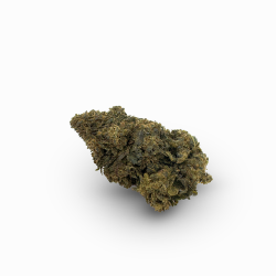 CBH Blüte - Amnesia 33%