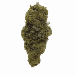CBH Blüte - Amnesia 33%