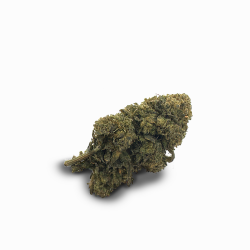 CBH Blüte - Super Lemon Haze 33%